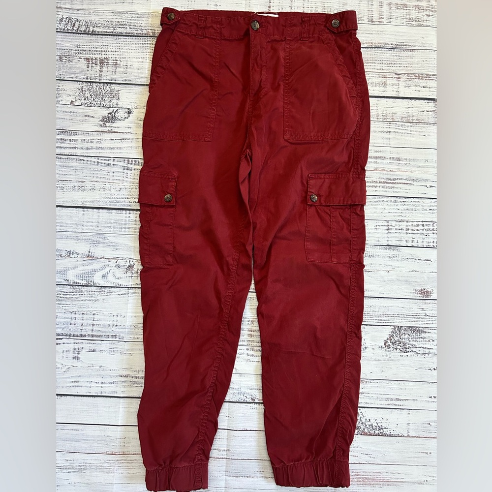 Anthropologie Men's Deep Red Cargo Pants‎